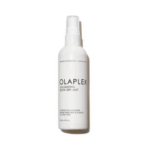 Volumizing Blow Dry Mist | 150 ML