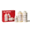 Total Hair Repair Set