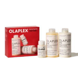 holidayPDP_kit01_f1 Total Hair Repair Set