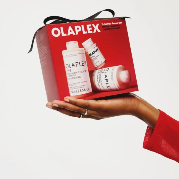 Total Hair Repair Set